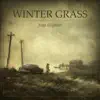 Fan Fiqtion - Winter Grass - EP