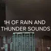 Sounds Of Nature : Thunderstorm, Rain, Thunder Storms & Rain Sounds & BodyHI - !!!\